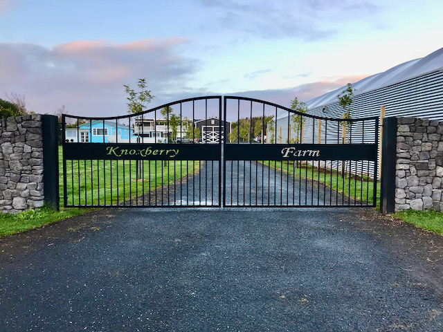 customised gate black metal automatic arch